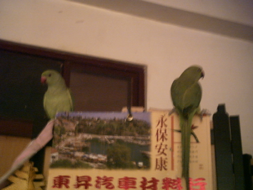 王不見王