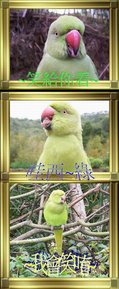 火氣降一點啦....