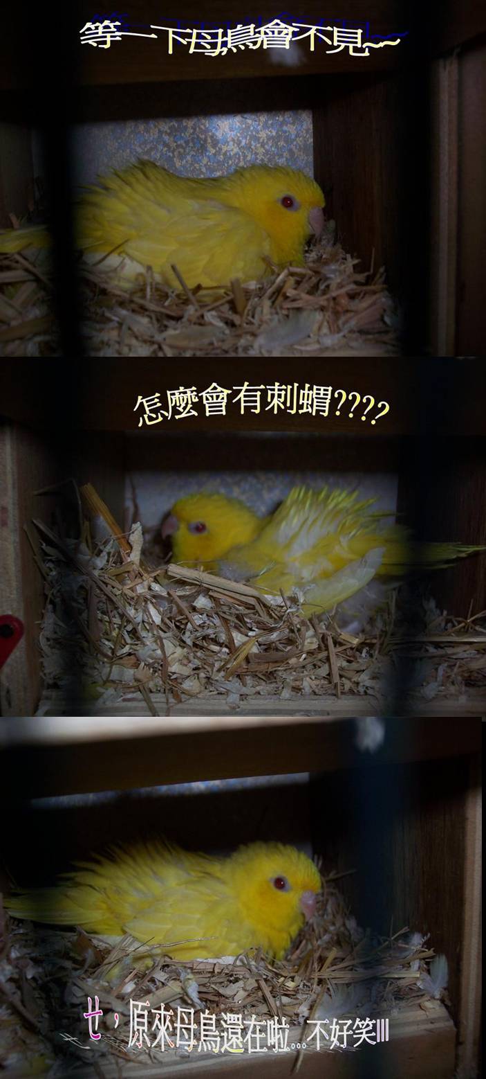 母性超優!!!