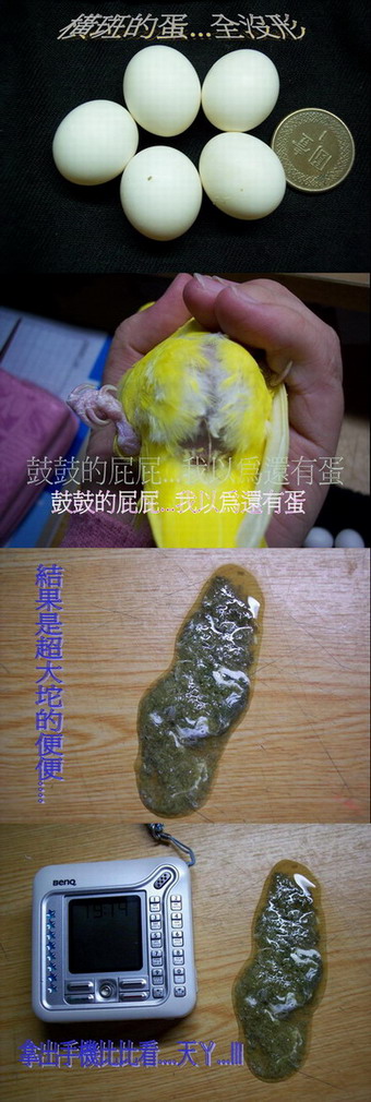 吃飯中的不要看...有點噁||||