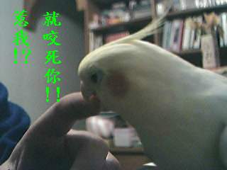 暴力現場