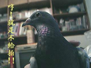 左躲右閃ing....