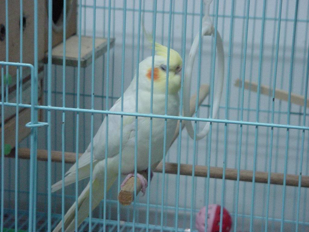 Photo 9245