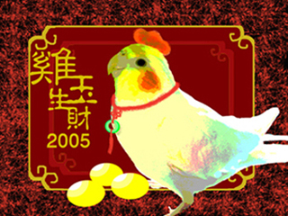 雞玉生財