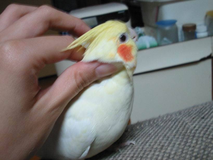 享受中ㄉ波波