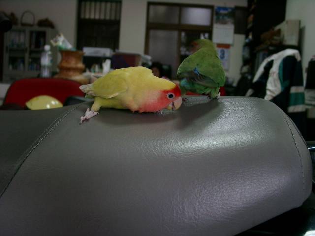 Photo 3800