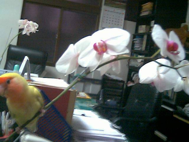 GOOD