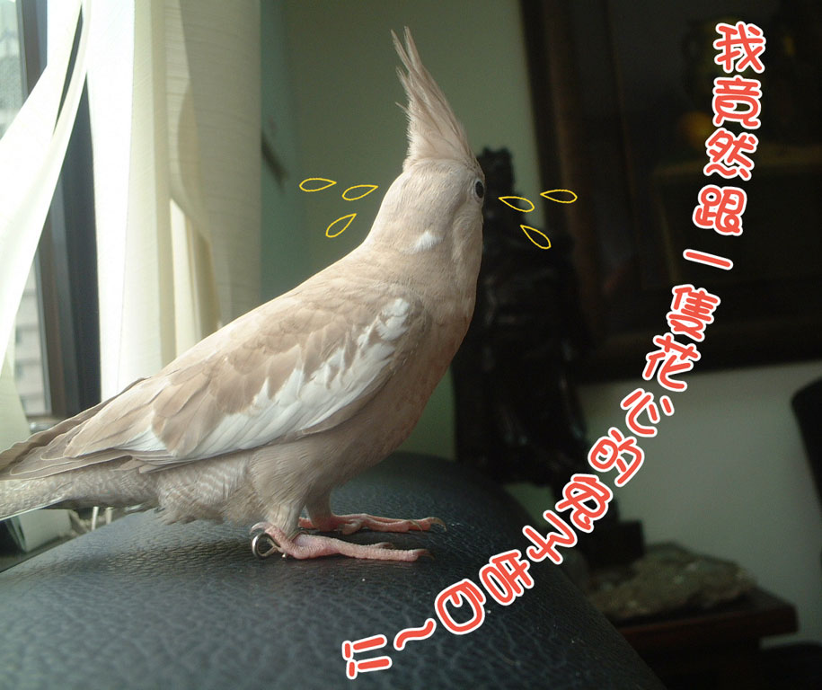 遇人不淑哪～～