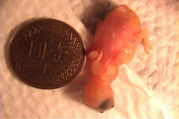 第一天