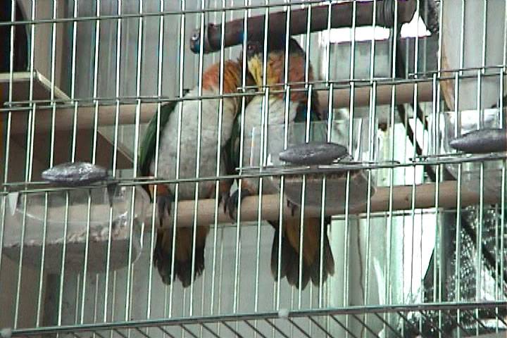恩愛系列-3