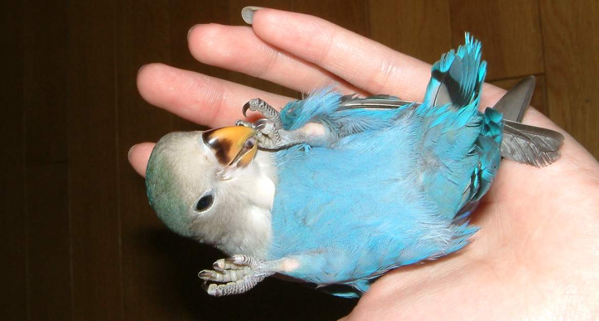 gigi躺躺喔~