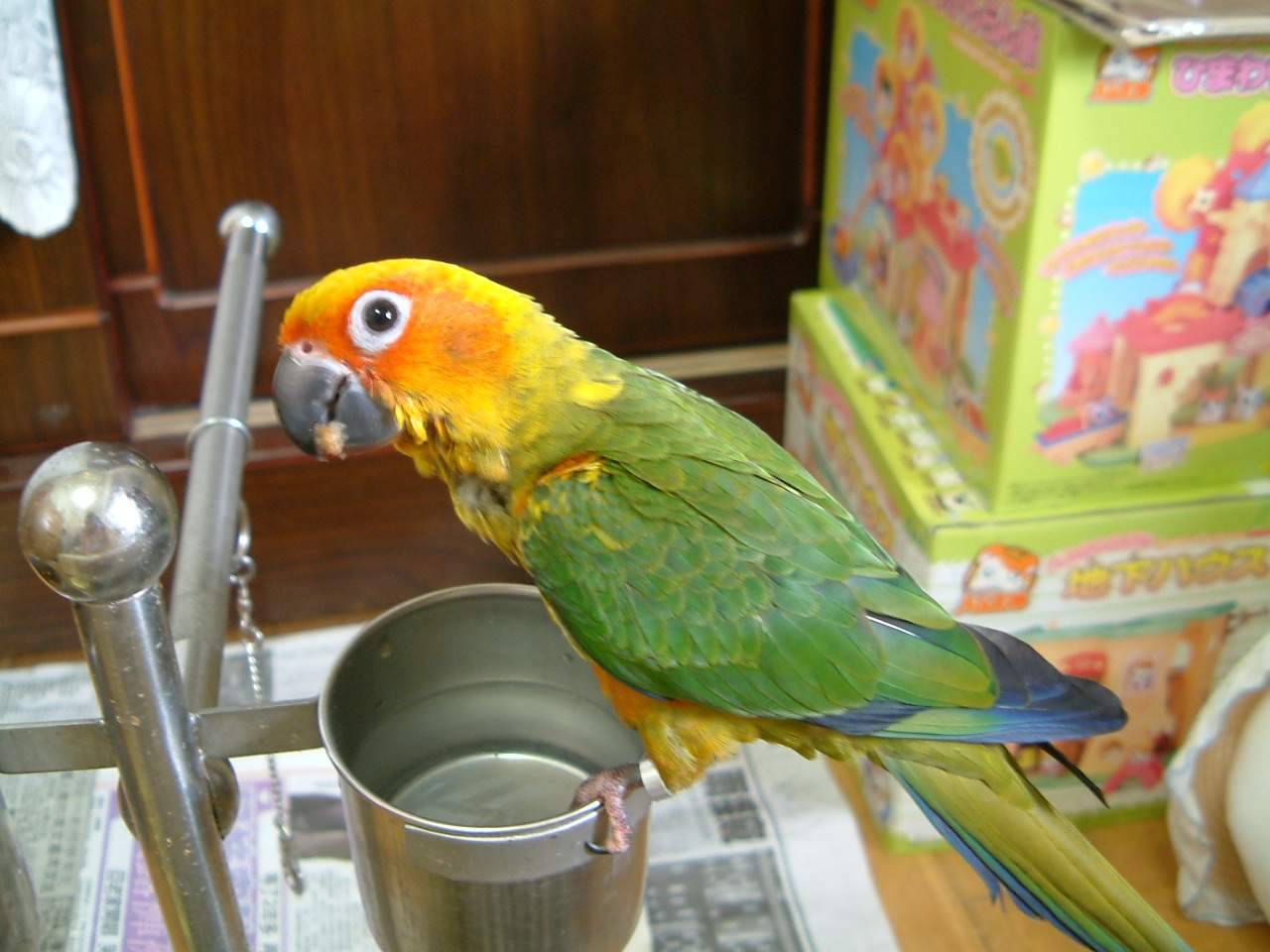 Sunny3