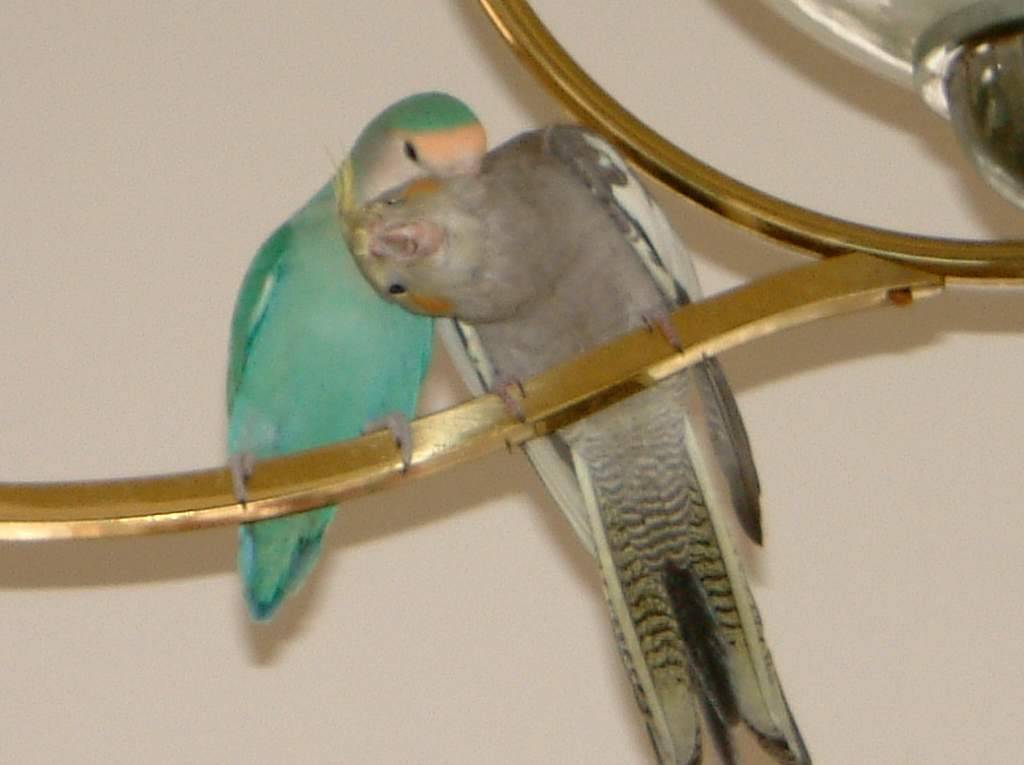 好舒服