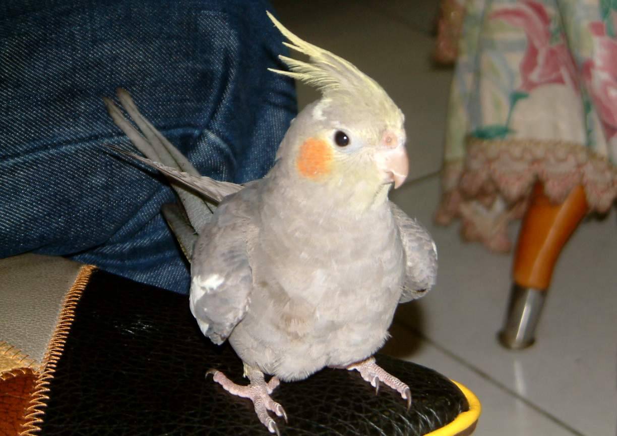 發呆