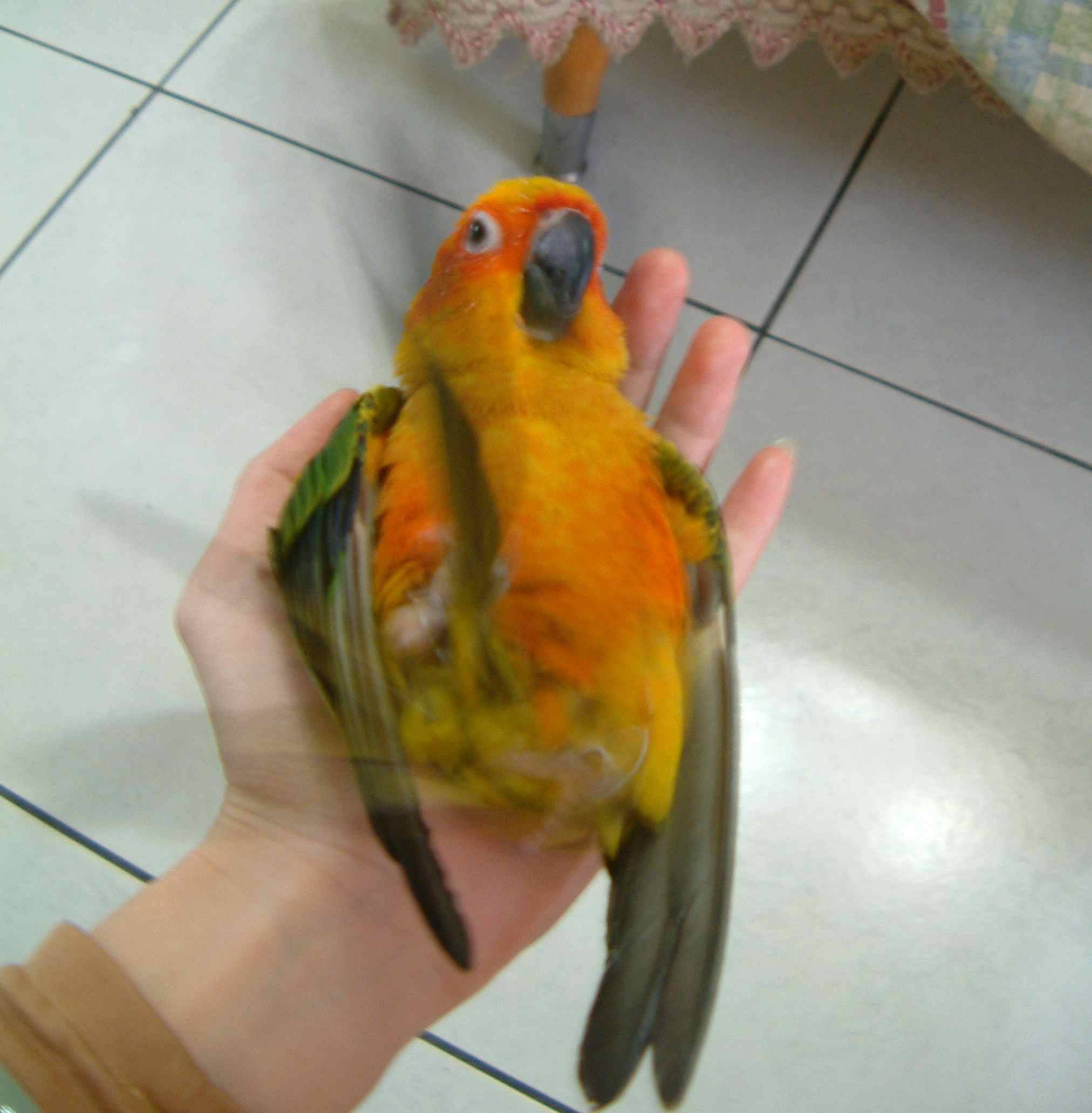 謎底揭曉