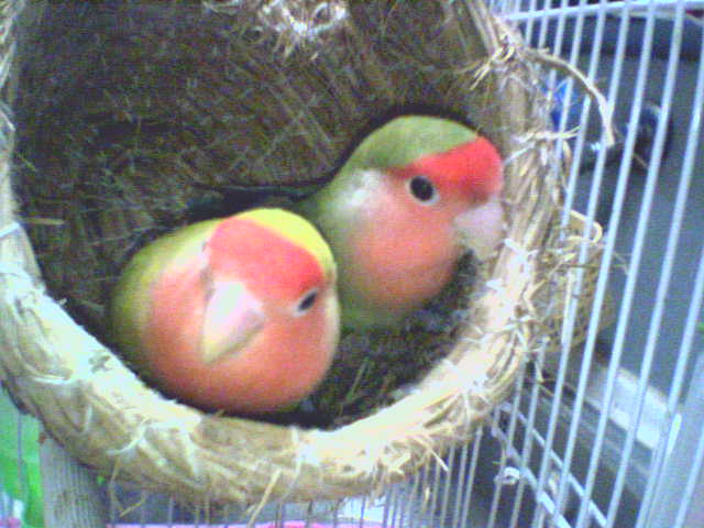 etta0605