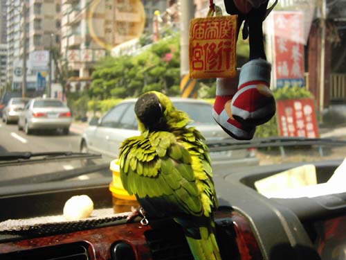 水喔!