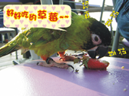 認真的表情!!