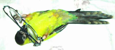 2004.5.2玩ㄉ美姿