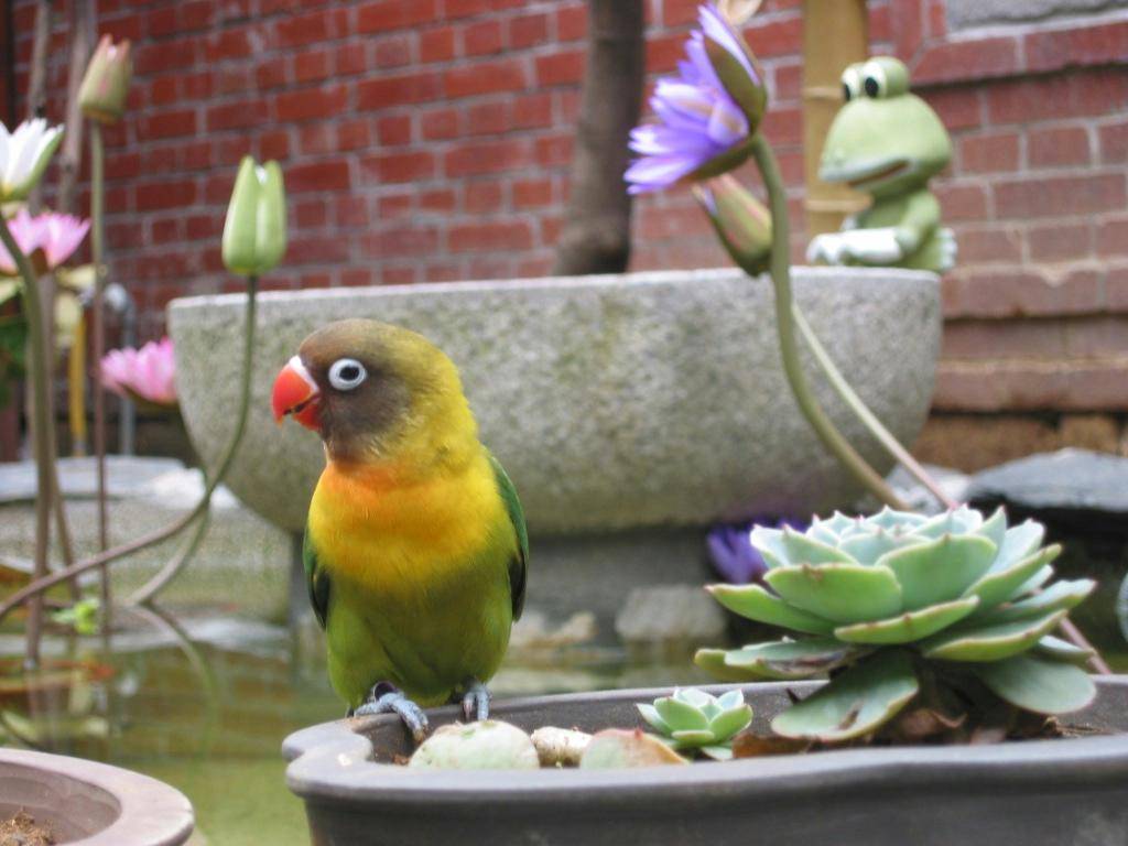 fangtian