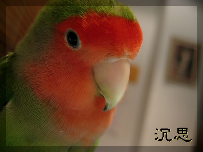 思索....