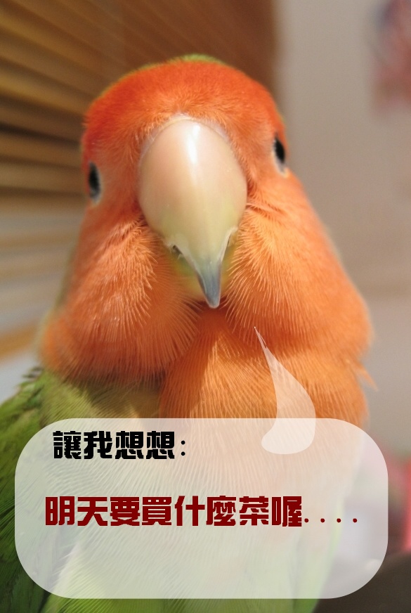 明天上菜場...