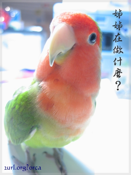 找我有什麼事嗎?