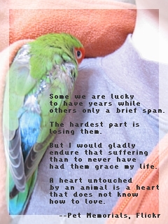 bird, who was near my heart....