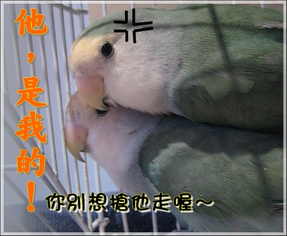 想都別想！！