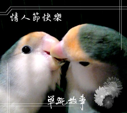 白色情人節快樂