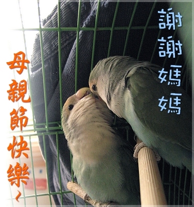 祝大家母親節快樂~~
