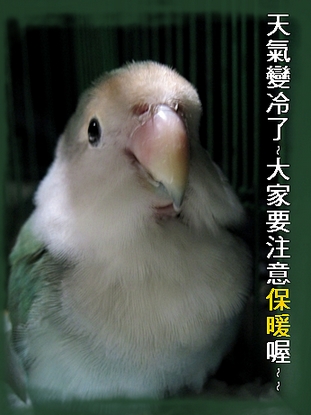 天氣變冷囉~~~