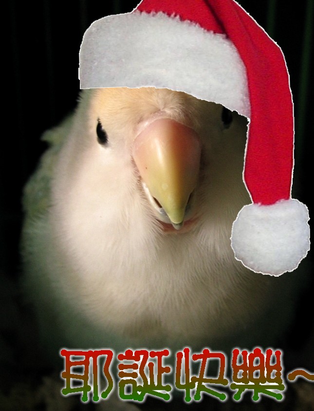 聖誕快樂阿~~~