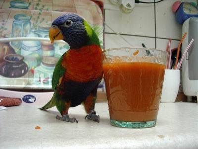 吸蜜