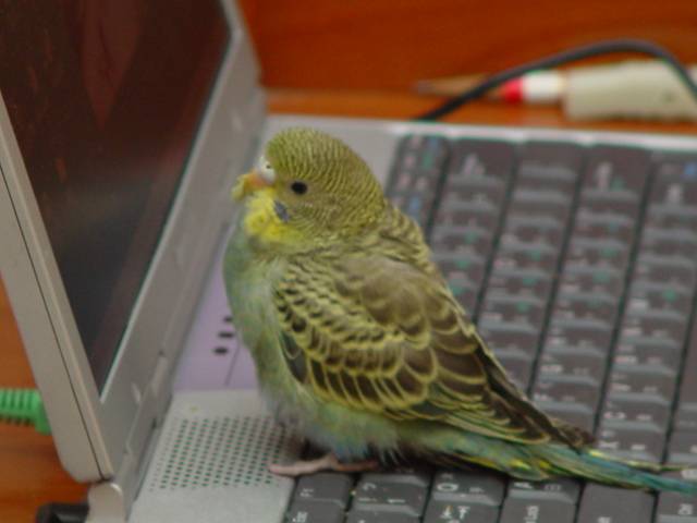 上電腦課
