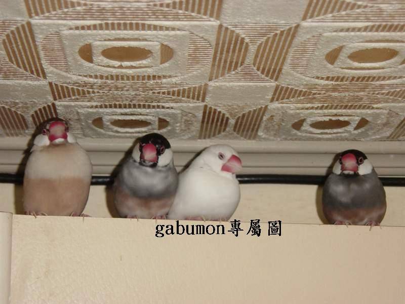 睡