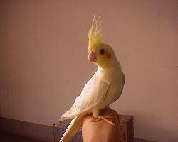 garry0511