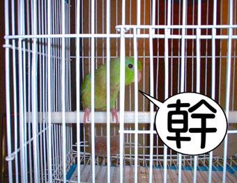 不爽的哈利