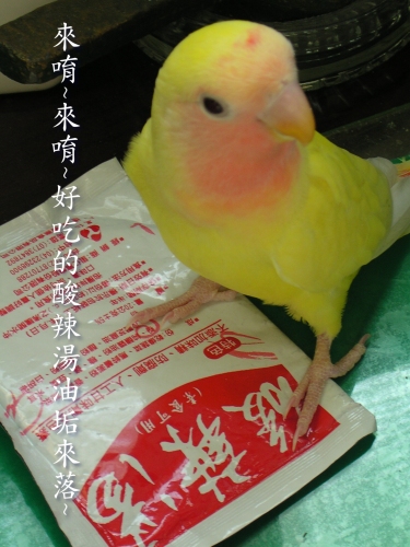 酸辣湯小販!