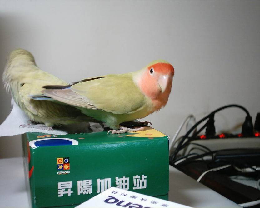 就是這裡了!
