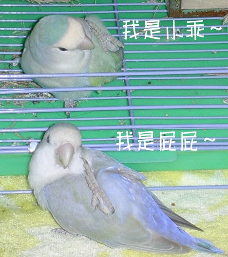 媽～好癢喔