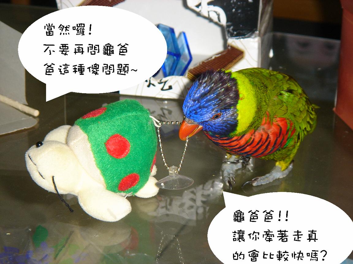 傻兒子