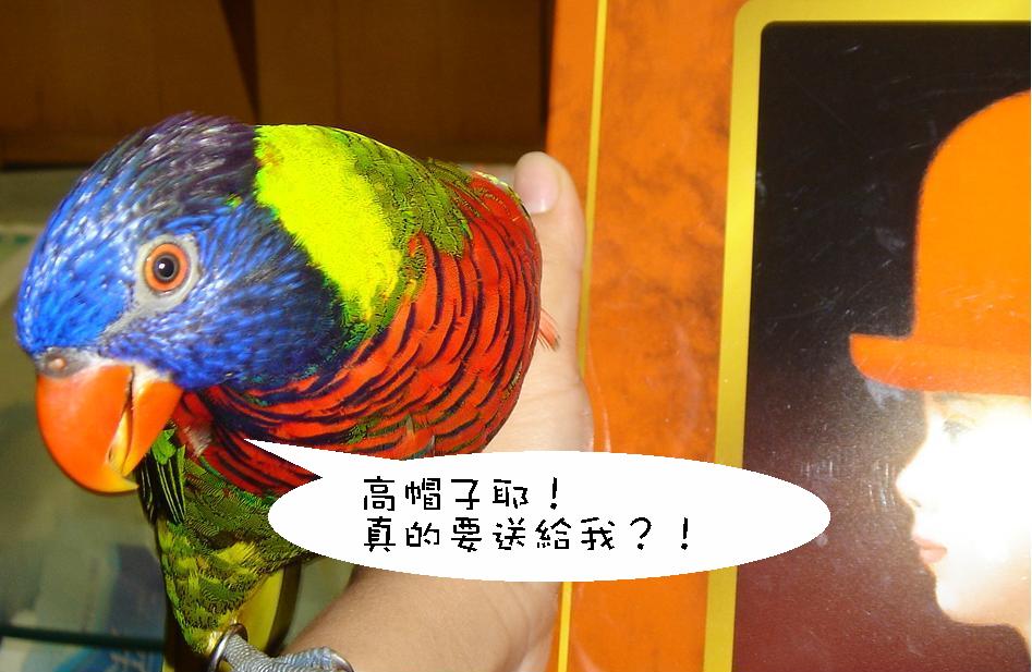 高帽子耶!
