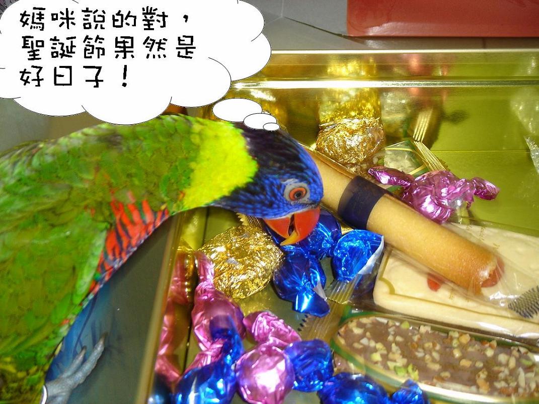 昨天你快樂嗎?