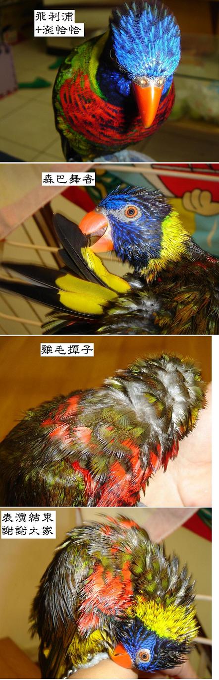 明日之星