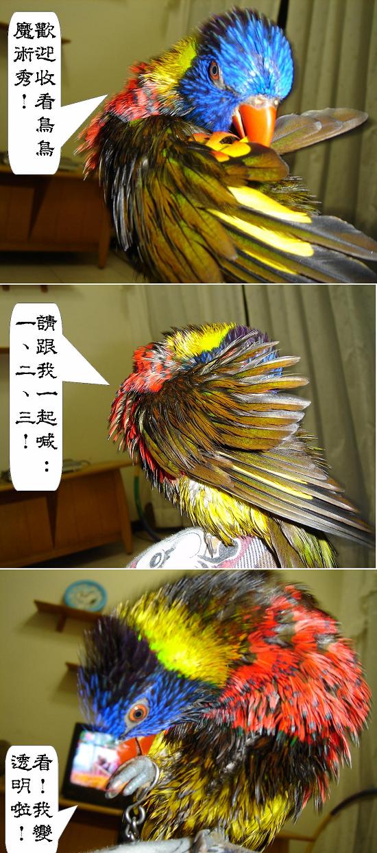 魔術秀