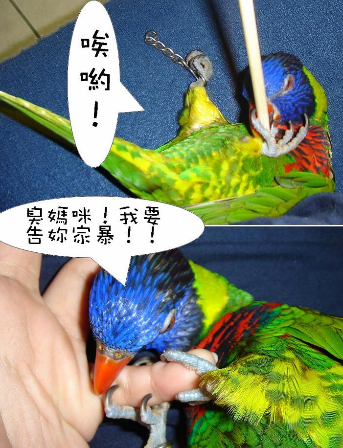 家暴!?