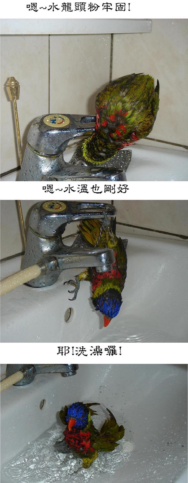 謹慎行事??