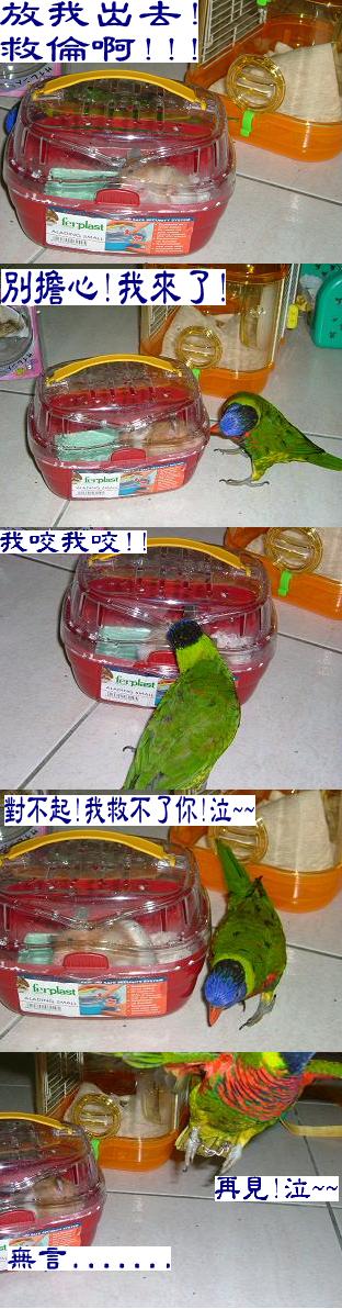 玩上癮了.....