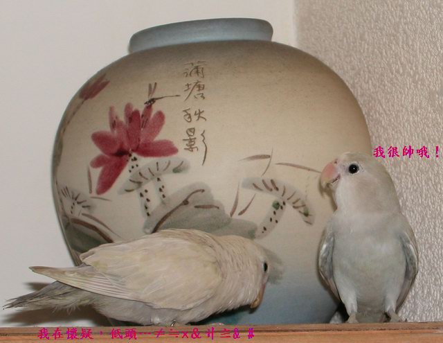 大家看一下，我很帥哦！